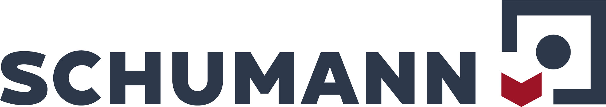 Dirk Schumann GmbH Logo